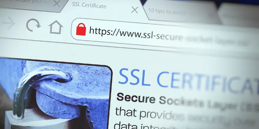 Step 10 - Security Measures for Small Business Websites